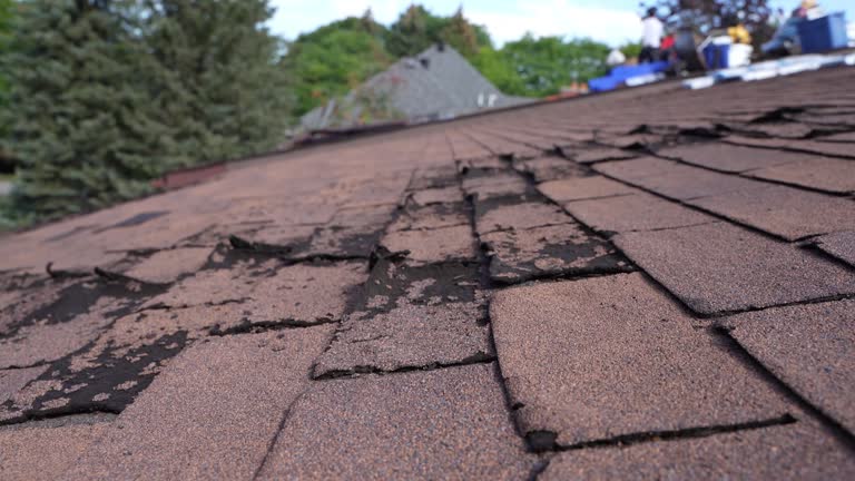 Fast & Reliable Emergency Roof Repairs in Union Grove, WI